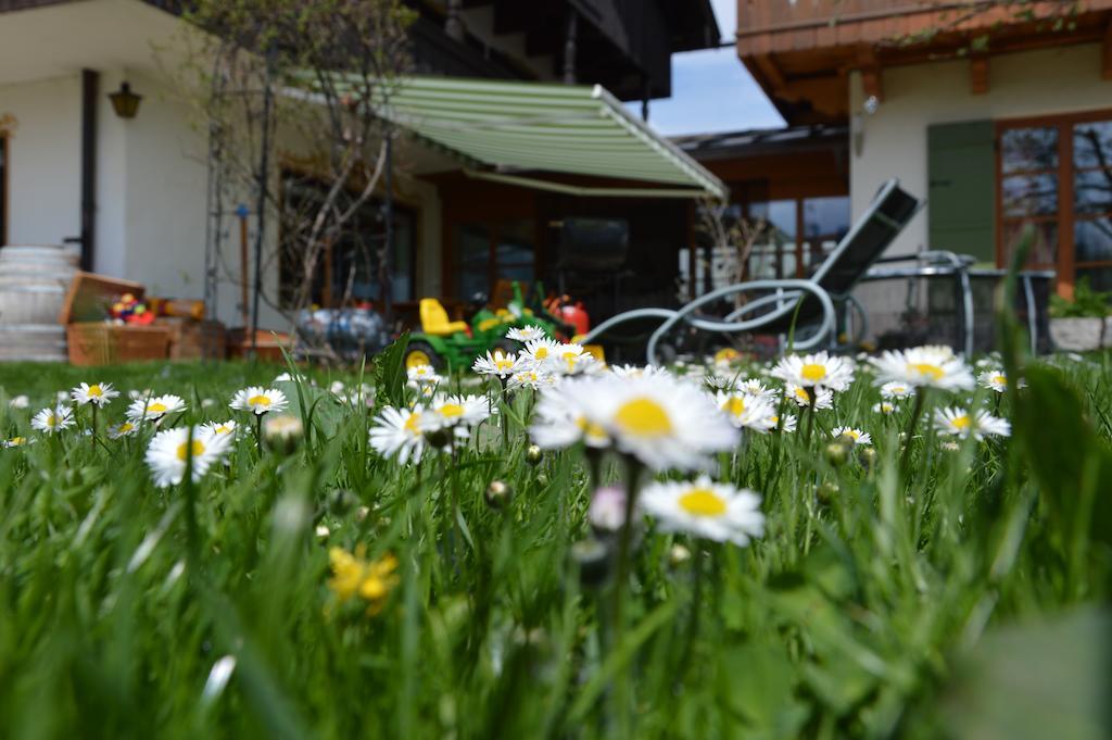 Pension Willibald Bad Tölz Exterior foto